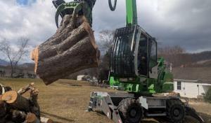 Schofield Tree Patrol