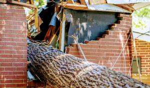 Terrapin Creek Plumbing & Septic Service