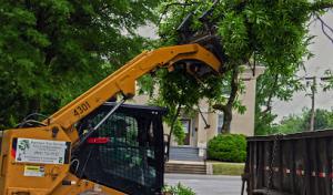 Harrison Tree Service