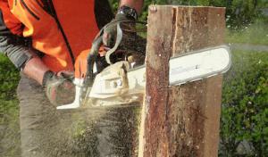 TreeTop Tree Service