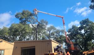 CalWest Tree Service In SLO