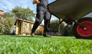 Sandoval Landscaping Services