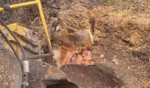 A & V Septic Services