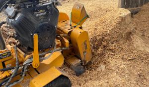 Stump Removal & Daughters