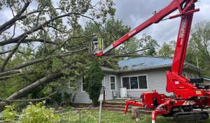 Woodmans Tree Service