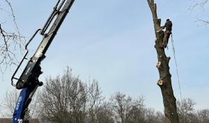 Vaughan's Tree Service