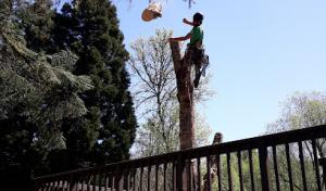 Allstar Septic Pumping