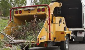 Long Island Tree & Landscape Service
