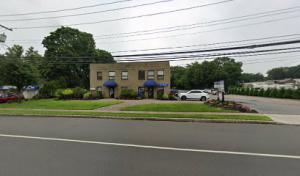 Tree Cutting & Trimming St.James