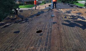 Palmetto Site Solutions
