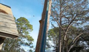 Lumberjack Tree Service