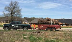 J.C. Bunting Tree Service