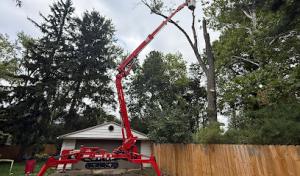 Vena's Nursery Tree Sales & Removal