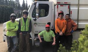 Devoted Tree Solutions