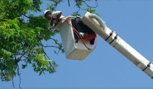 Chase Harris Septic Services