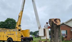Tucker's Tree Service