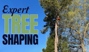 Tri-Lakes Pumping Service Septic