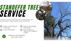 Standefer Tree Service