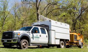 Hometown Tree Experts