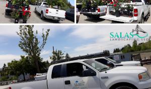 Stain Plumbing & Construction