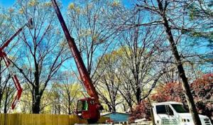 R&R Tree Service