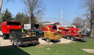 Bieniek Tree Service