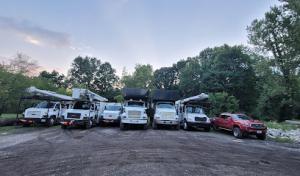 Columbus Tree Services