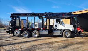 Tree & Stump Removal Service