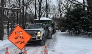 Momentum Tree Experts