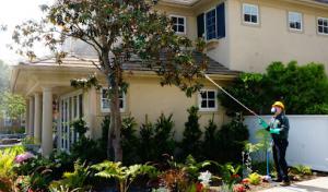 Sims Tree Health Specialists