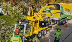 Oak Bros Tree Care & Removal