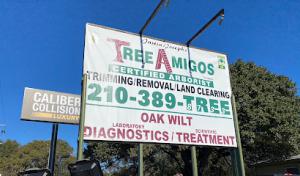 Tree Amigos Tree Service