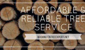 Washington Tree Experts