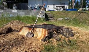 A-1 Septic Tank Cleaning