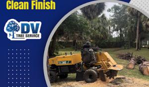 Daniel Valencia Tree Service