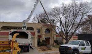 Robert's Tree Service