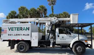 Veteran Tree Experts