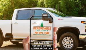 Dependable Tree Service