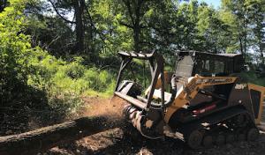 The Septic Surgeon Tucson