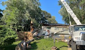 MTS-Pro Tree Service & Landscaping