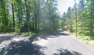 Better Tree & Shrub Care