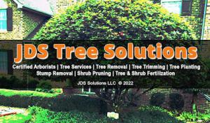 JDS Tree Solutions