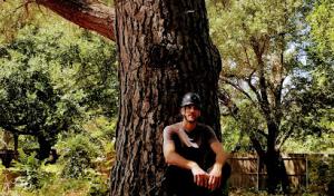 Timber! Tree Service