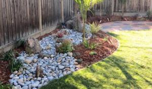 Orellana Lawn & Tree Services