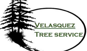Velasquez Tree Service