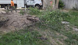 Integrity Tree Service