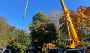 JCM Tree Service