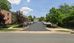 Precision Tree Services