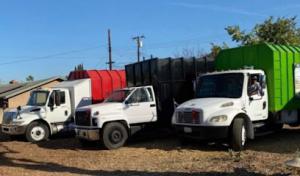 City To City Tree Enhancement Experts