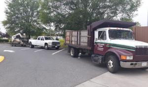 Vienna Tree Service & Landscaping